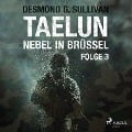 Cover-Bild zum Titel 'Taelun, Folge 3: Nebel in Brüssel (Ungekürzt)' von 'Desmond G. Sullivan'