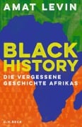 Cover-Bild zum Titel 'Black History' von 'Amat Levin'