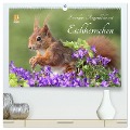 Besondere Augenblicke mit Eichhörnchen (hochwertiger Premium Wandkalender 2025 DIN A2 quer), Kunstdruck in Hochglanz - Tine Meier