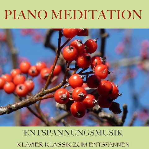 Piano Meditation ¿ Entspannungsmusik - Filip Lundqvist