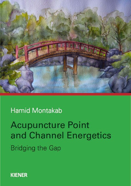Acupuncture Point and Channel Energetics - Hamid Montakab