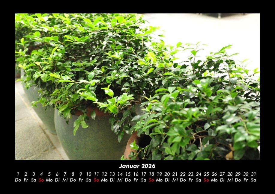 InsideView 5
