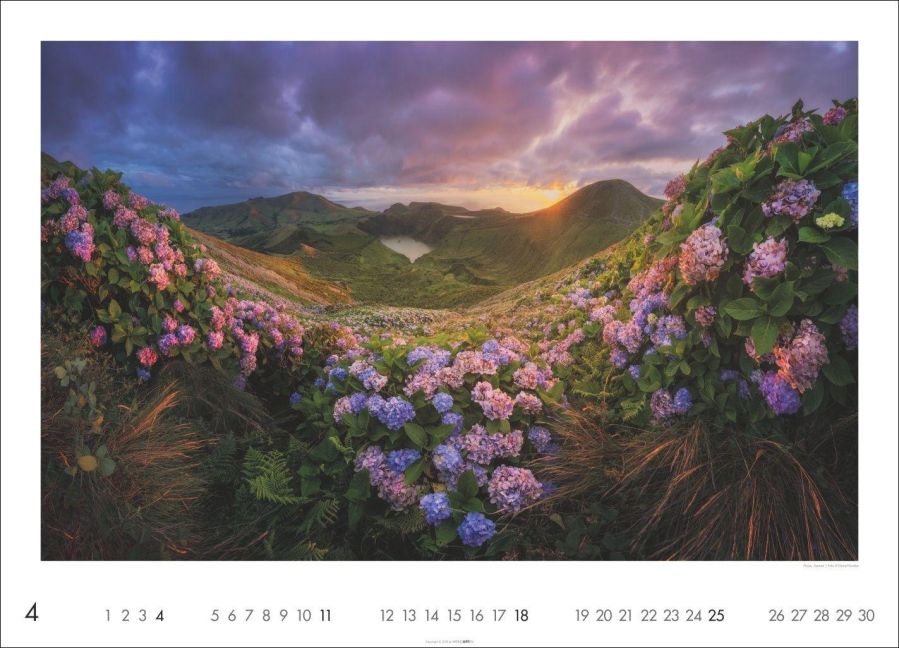 InsideView 4