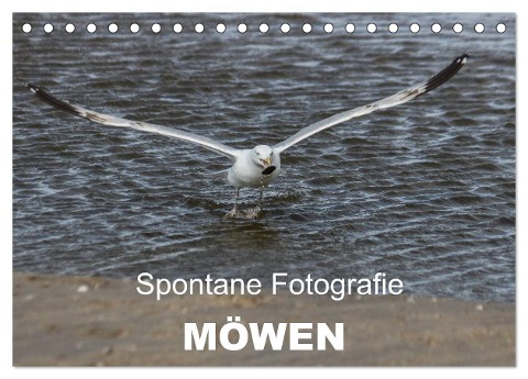Spontane Fotografie - Möwen (Tischkalender 2024 DIN A5 quer), CALVENDO Monatskalender - Melanie Mp