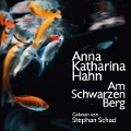 Cover-Bild zum Titel 'Am schwarzen Berg' von 'Anna Katharina Hahn'