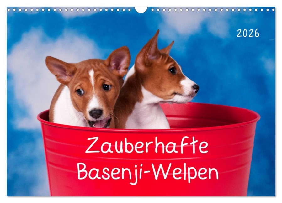Zauberhafte Basenji-Welpen (Wandkalender 2026 DIN A3 quer), CALVENDO Monatskalender - Angelika Joswig