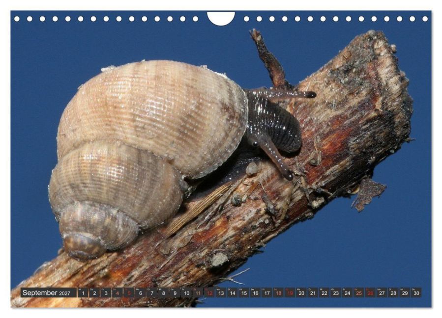 InsideView 14