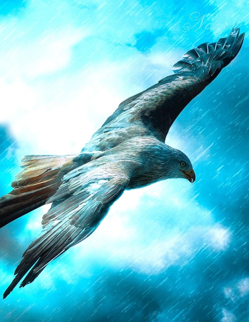 Fantasy Notizbuch: Adler im Sturm - weiße Seiten mit Eckmotiv - Samuriel Sternenfeuer