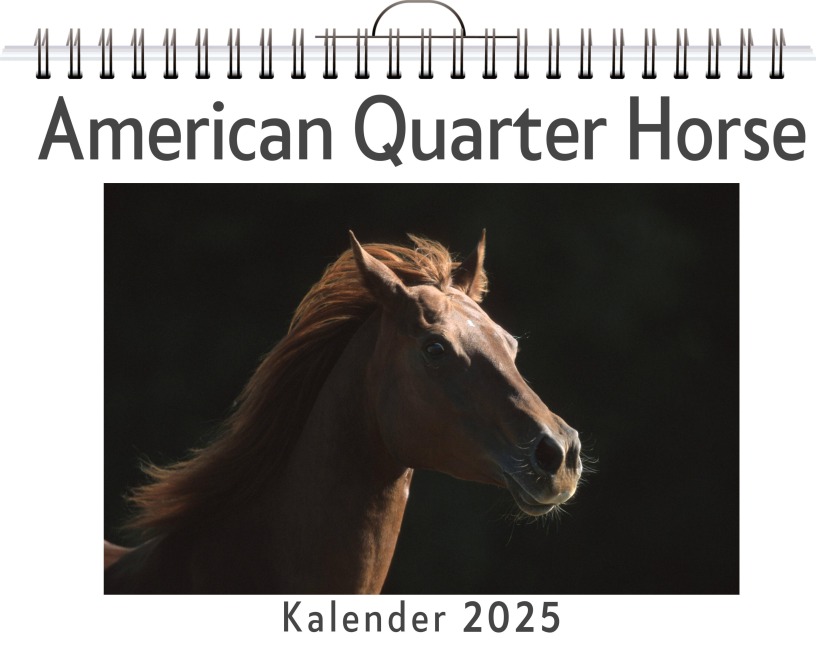 American Quarter Horse - Luca Weber