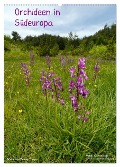 Orchideen in Südeuropa (Wandkalender 2025 DIN A2 hoch), CALVENDO Monatskalender - Benny Trapp