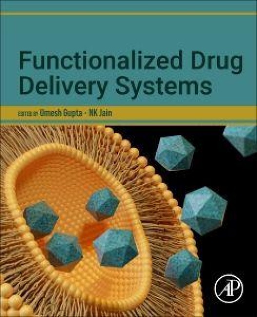 Functionalized Drug Delivery Systems - 