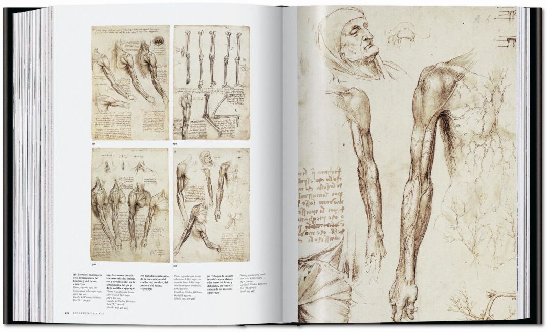 InsideView 15
