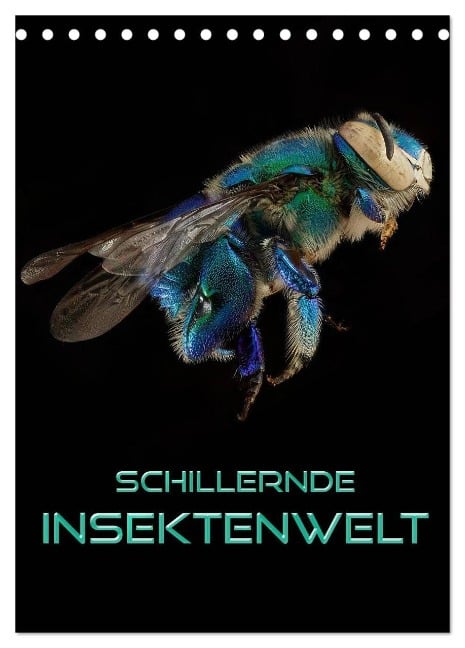 Schillernde Insektenwelt (Tischkalender 2024 DIN A5 hoch), CALVENDO Monatskalender - Renate Bleicher