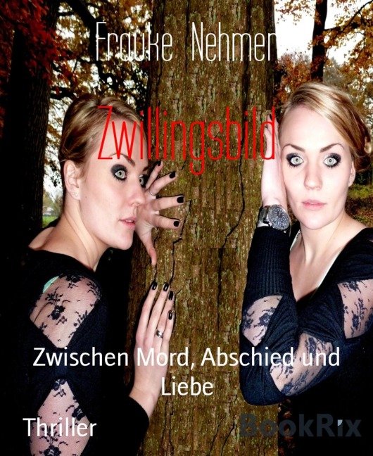 Zwillingsbild - Frauke Nehmer