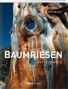 Cover-Bild zum Titel 'Baumriesen der Schweiz' von 'Michel Brunner'