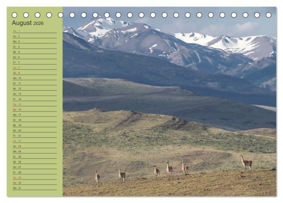 InsideView 13