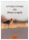 Limosa Limosa die Uferschnepfe (Wandkalender 2025 DIN A3 hoch), CALVENDO Monatskalender - Tanja Riedel