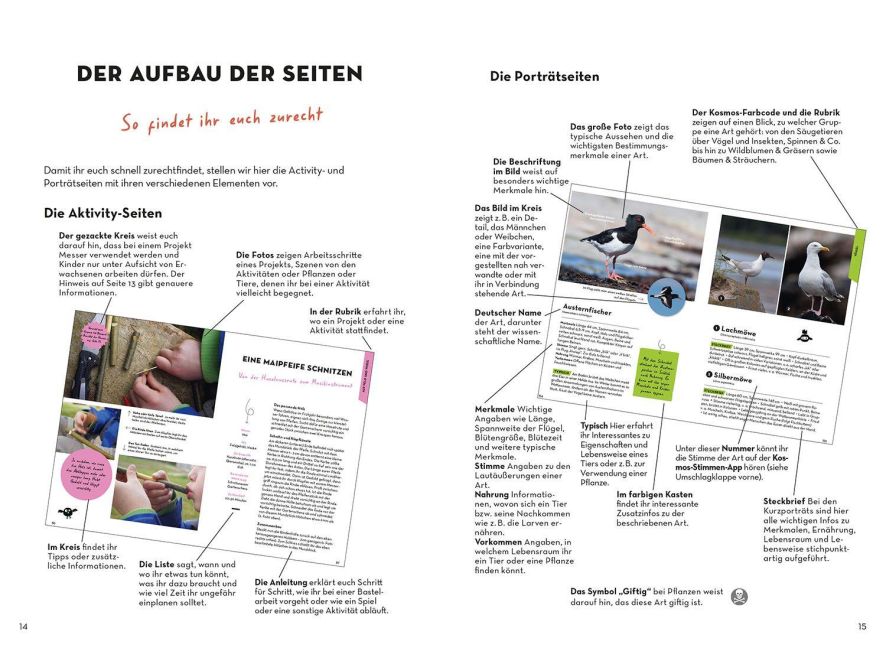 InsideView 3