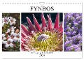 Fynbos - Die einzigartige Flora Südafrikas (Wandkalender 2024 DIN A4 quer), CALVENDO Monatskalender - Silvia Schröder