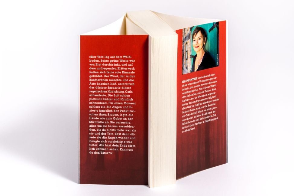 InsideView 4