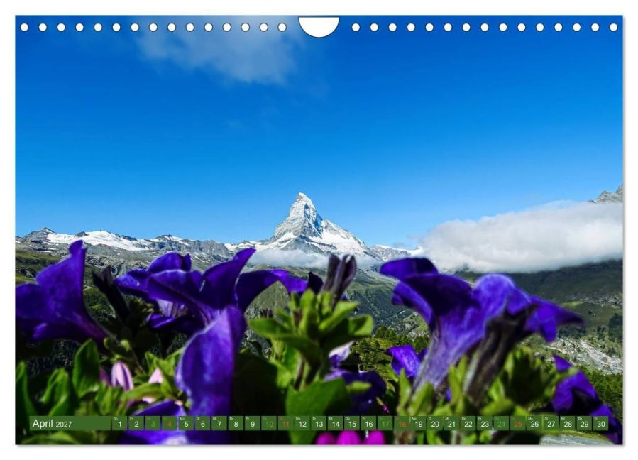 InsideView 9