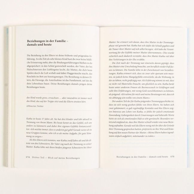 InsideView 4