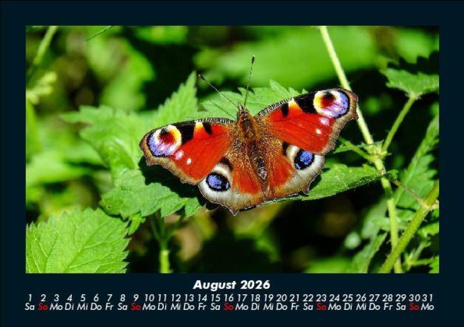 InsideView 12