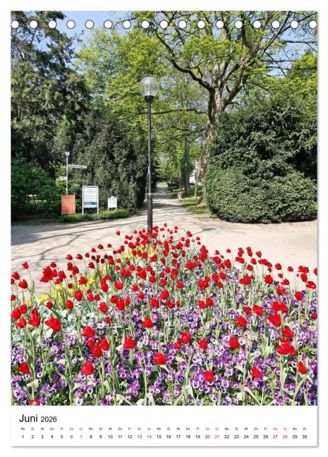 InsideView 11