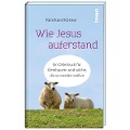Cover-Bild zum Titel 'Wie Jesus auferstand' von 'Reinhard Körner'