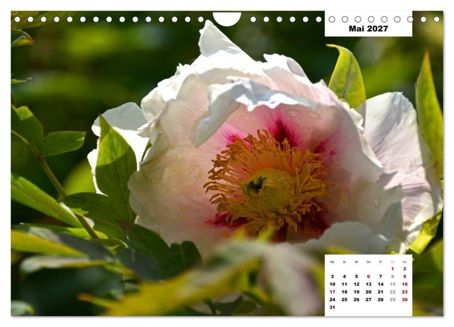 InsideView 10