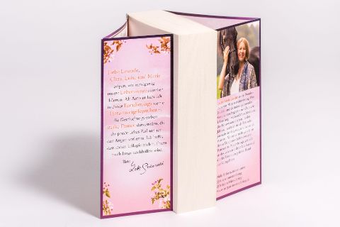 InsideView 5