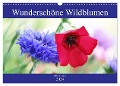 Wunderschöne Wildblumen (Wandkalender 2024 DIN A3 quer), CALVENDO Monatskalender - Gisela Kruse
