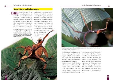 InsideView 2
