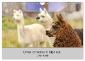 Unter Lamas und Alpakas (Wandkalender 2024 DIN A4 quer), CALVENDO Monatskalender - Oliver Nowak
