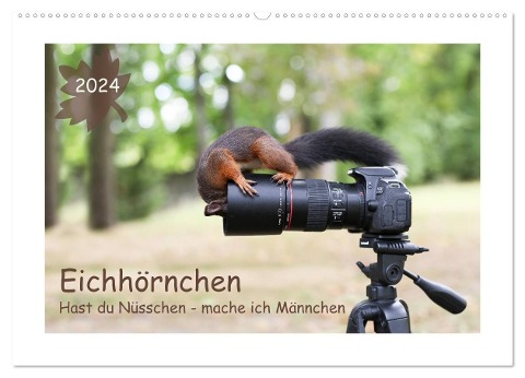 Eichhörnchen - Hast du Nüsschen mache ich Männchen (Wandkalender 2024 DIN A2 quer), CALVENDO Monatskalender - Birgit Cerny