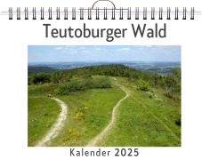 Cover-Bild zum Titel 'Teutoburger Wald' von 'Olivia Braun'
