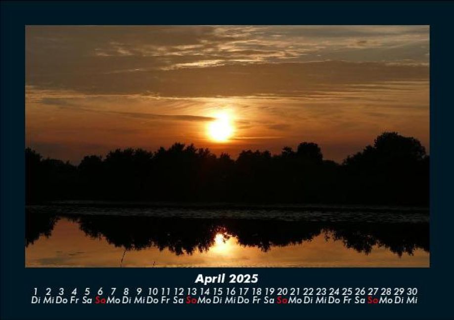 InsideView 8