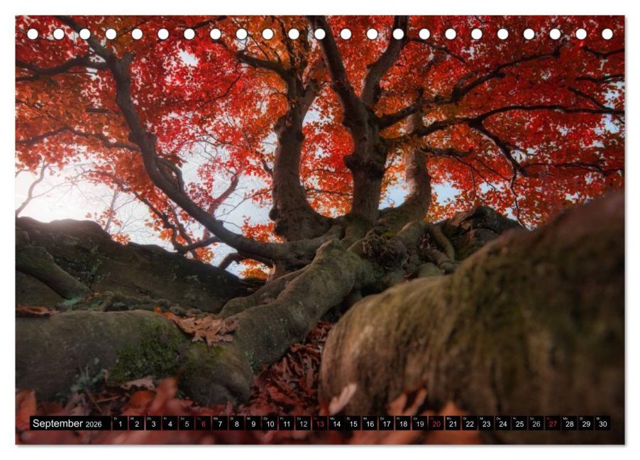 InsideView 14