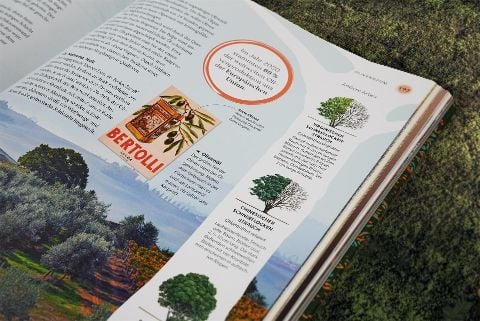 InsideView 12