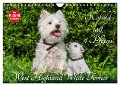 Kobold auf 4 Pfoten - West Highland White Terrier (Wandkalender 2024 DIN A4 quer), CALVENDO Monatskalender - Sigrid Starick