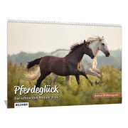 Cover-Bild zum Titel 'Pferde Kalender 2026 Pferdeglück! Die schönsten Pferdemotive und Aufnahmen 2026' von 'Wiebke Haas'