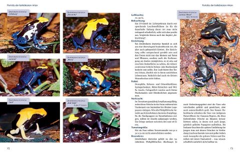 InsideView 3