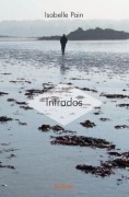Cover-Bild zum Titel 'Intrados' von 'Isabelle Pain'