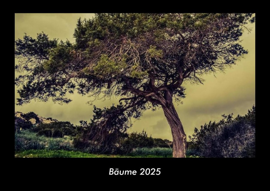Bäume 2025 Fotokalender DIN A3 - Tobias Becker