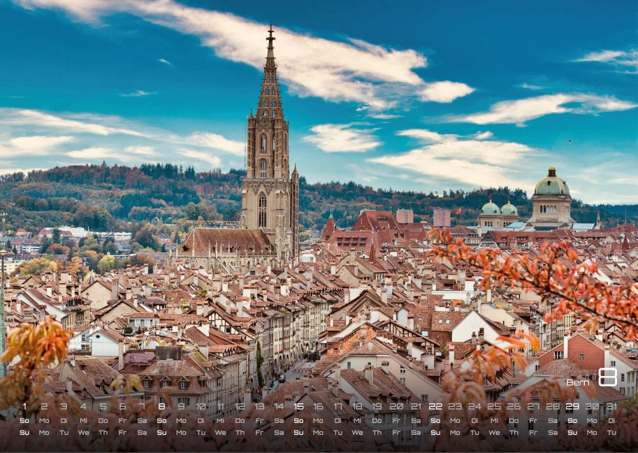 InsideView 7