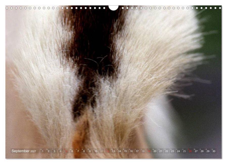 InsideView 14
