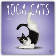 Yoga Cats - Katzen Yoga 2026 - 16-Monatskalender - Browntrout Publishers Inc