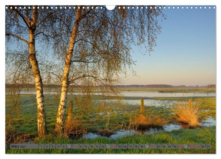 InsideView 8