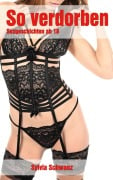 Cover-Bild zum Titel 'So verdorben - 30 Sexgeschichten' von 'Sylvia Schwanz'