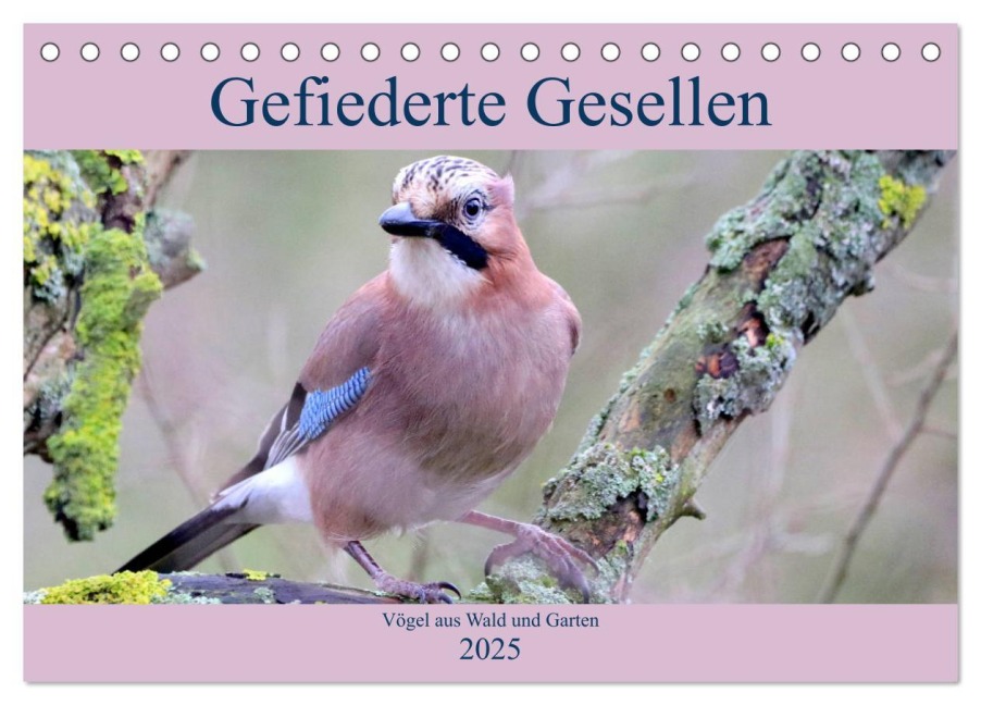 Gefiederte Gesellen - Vögel aus Wald und Garten (Tischkalender 2025 DIN A5 quer), CALVENDO Monatskalender - Arno Klatt